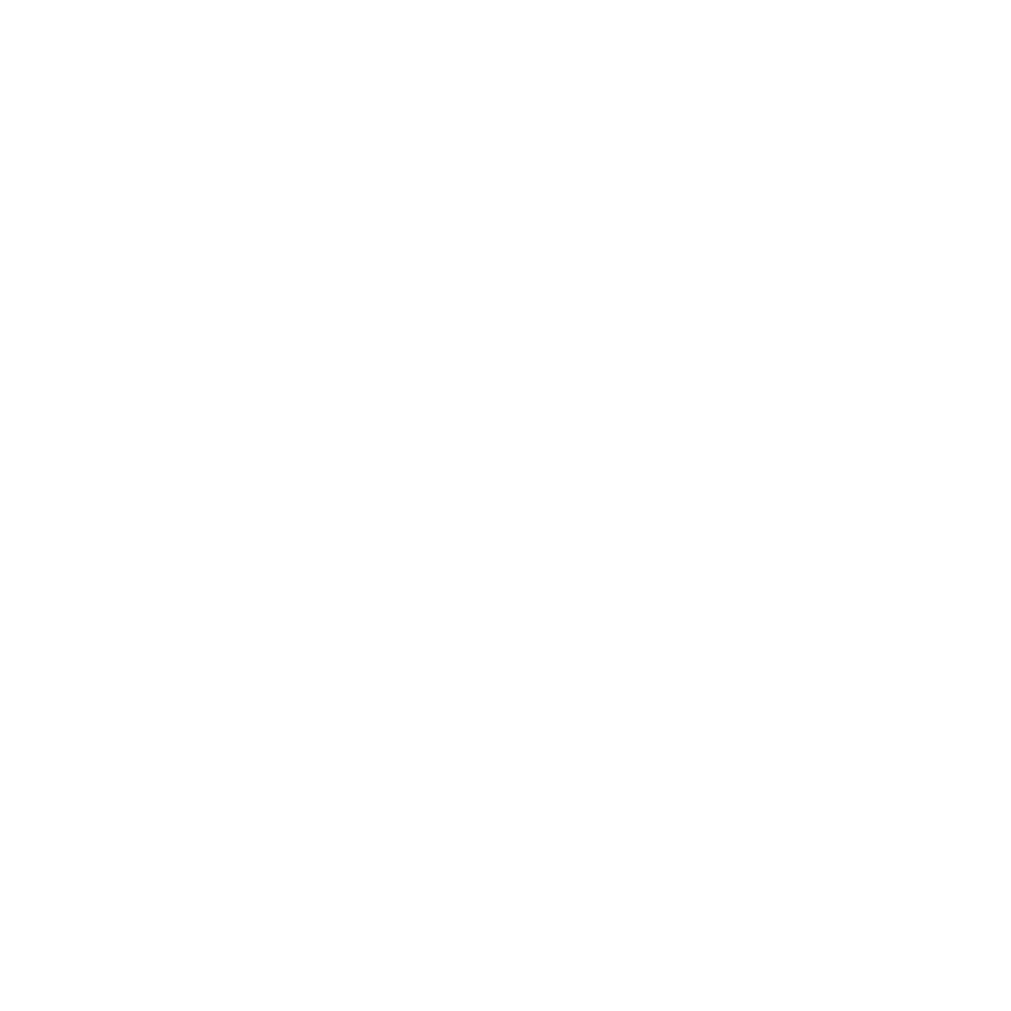 F22 Express Logo
